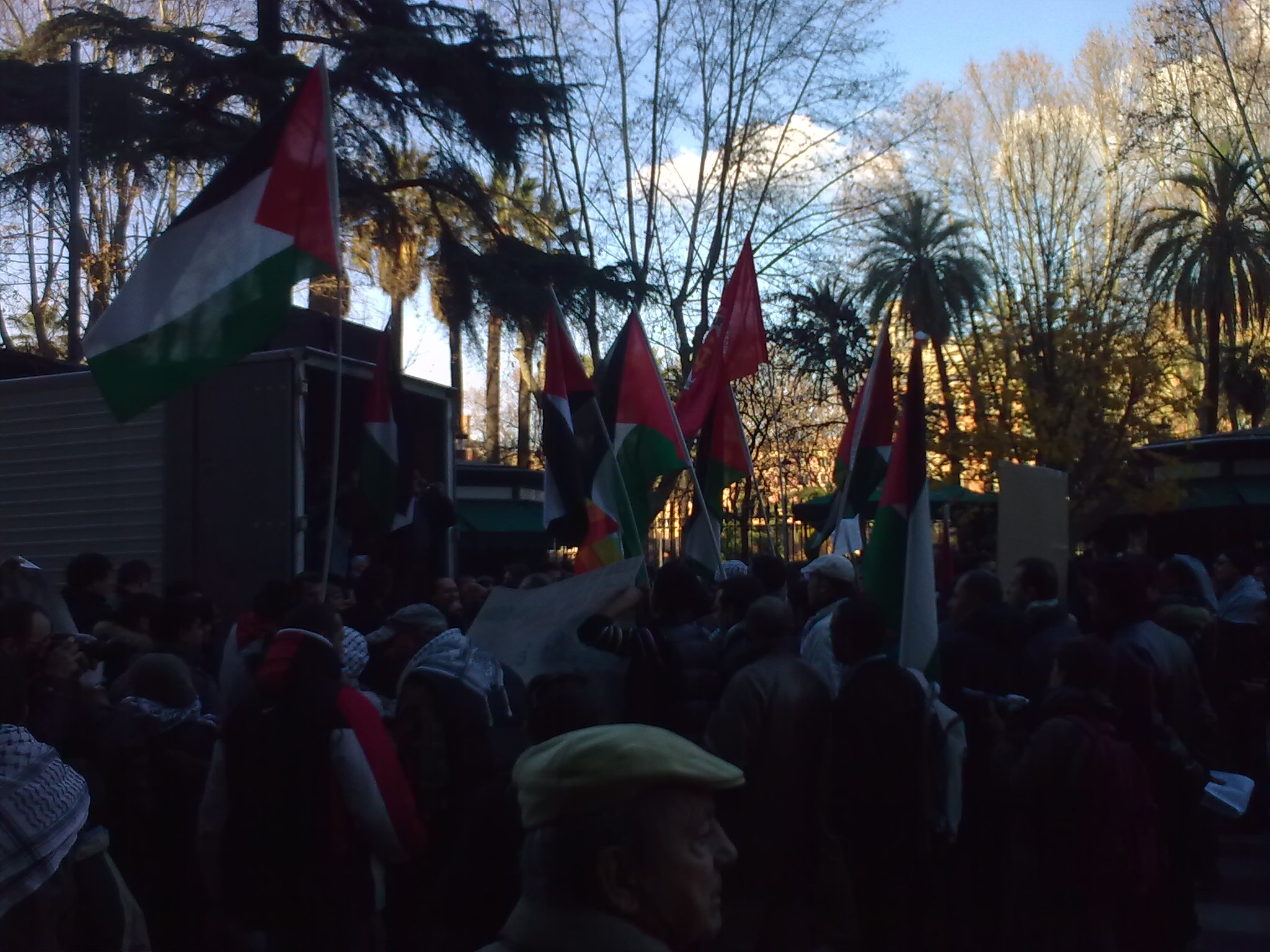 Corteo per la Palestina - 17 gennaio 2009