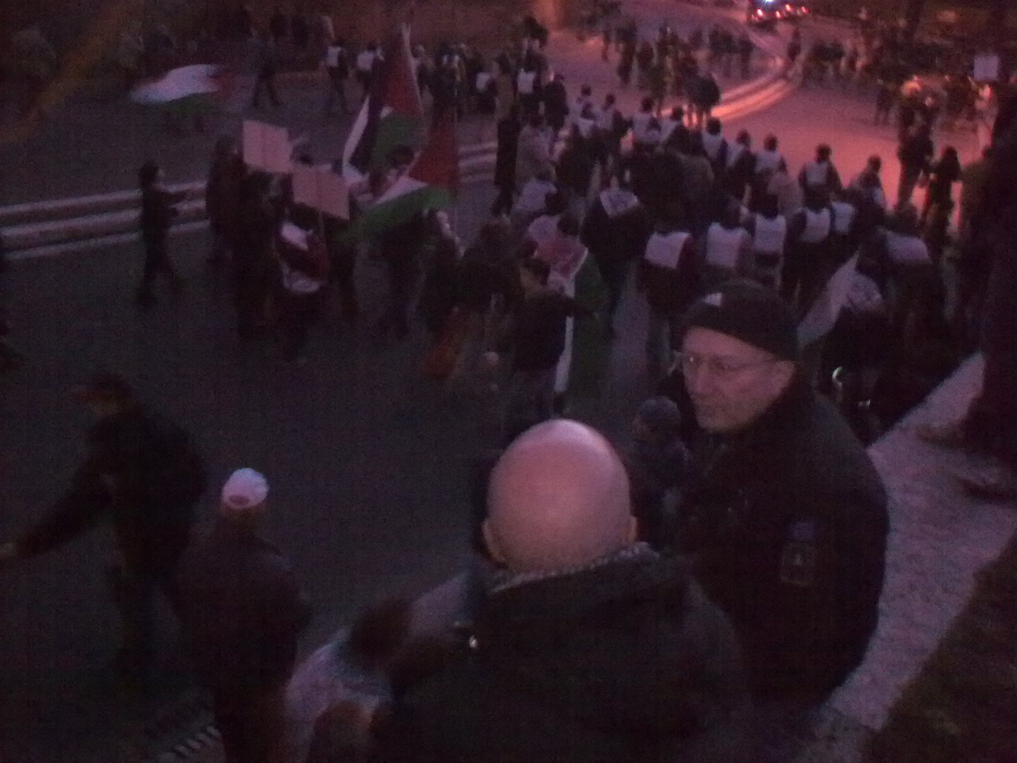 Corteo per la Palestina - 17 gennaio 2009