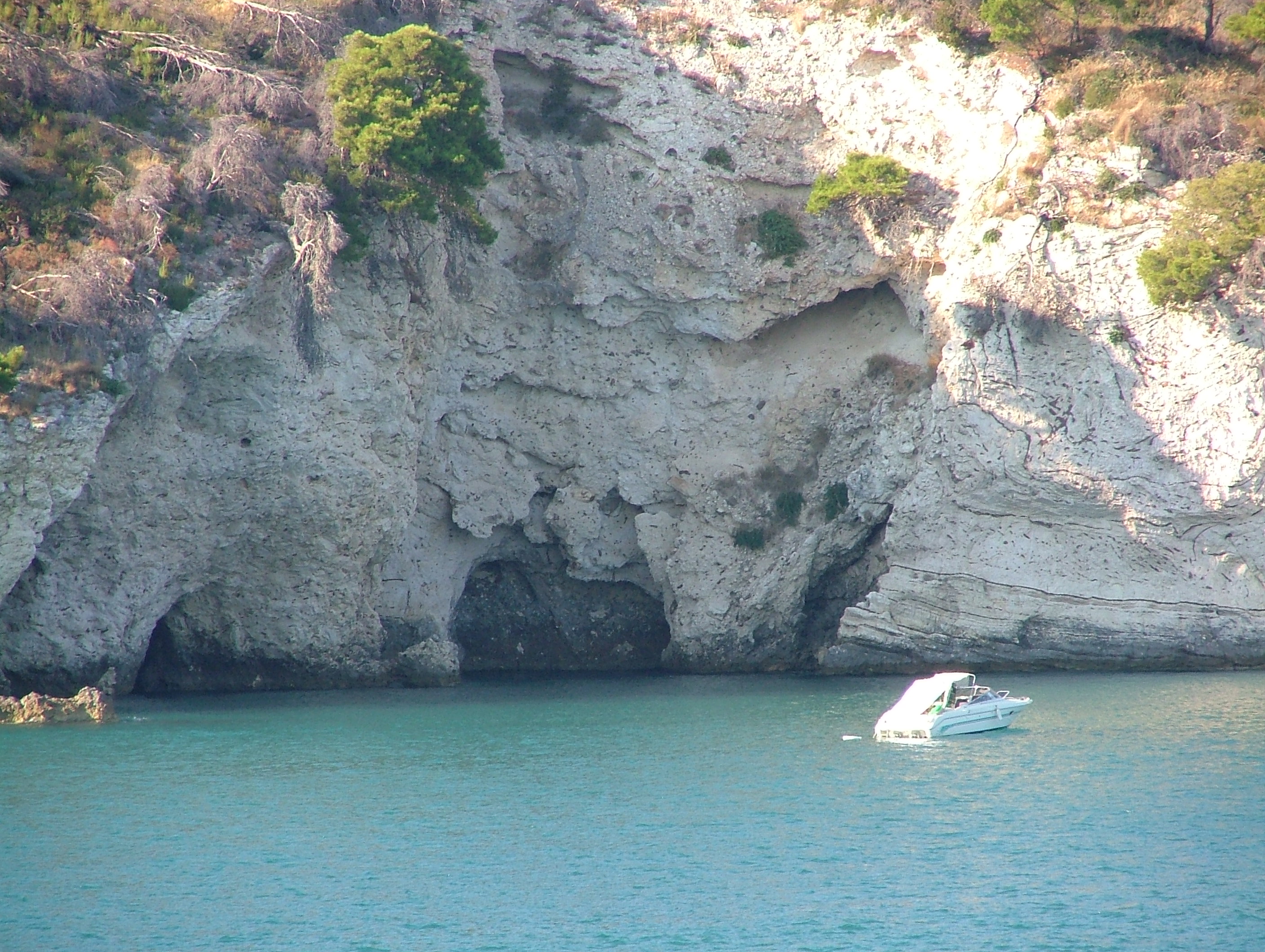 Gargano