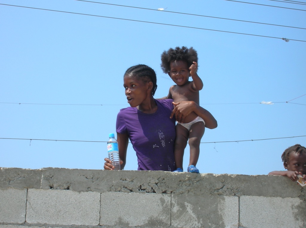 Haiti - White Crane