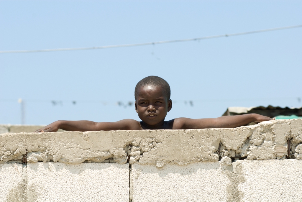 Haiti - White Crane