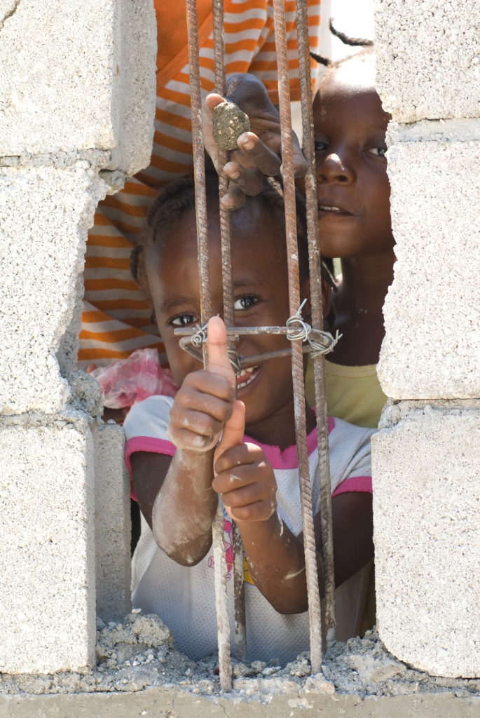 Haiti - White Crane