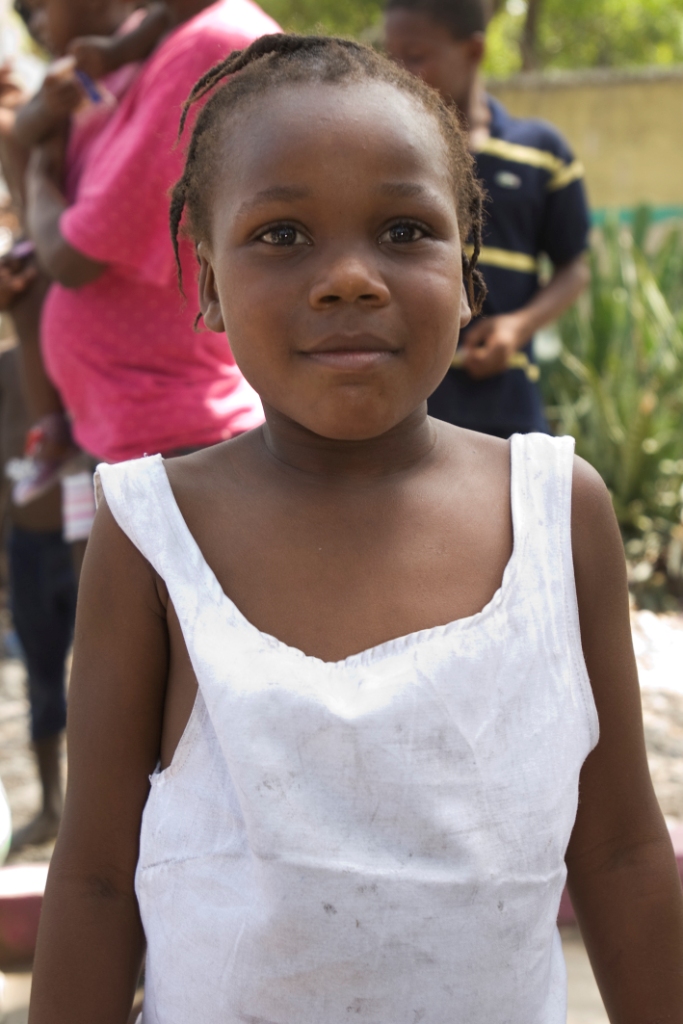 Haiti - White Crane