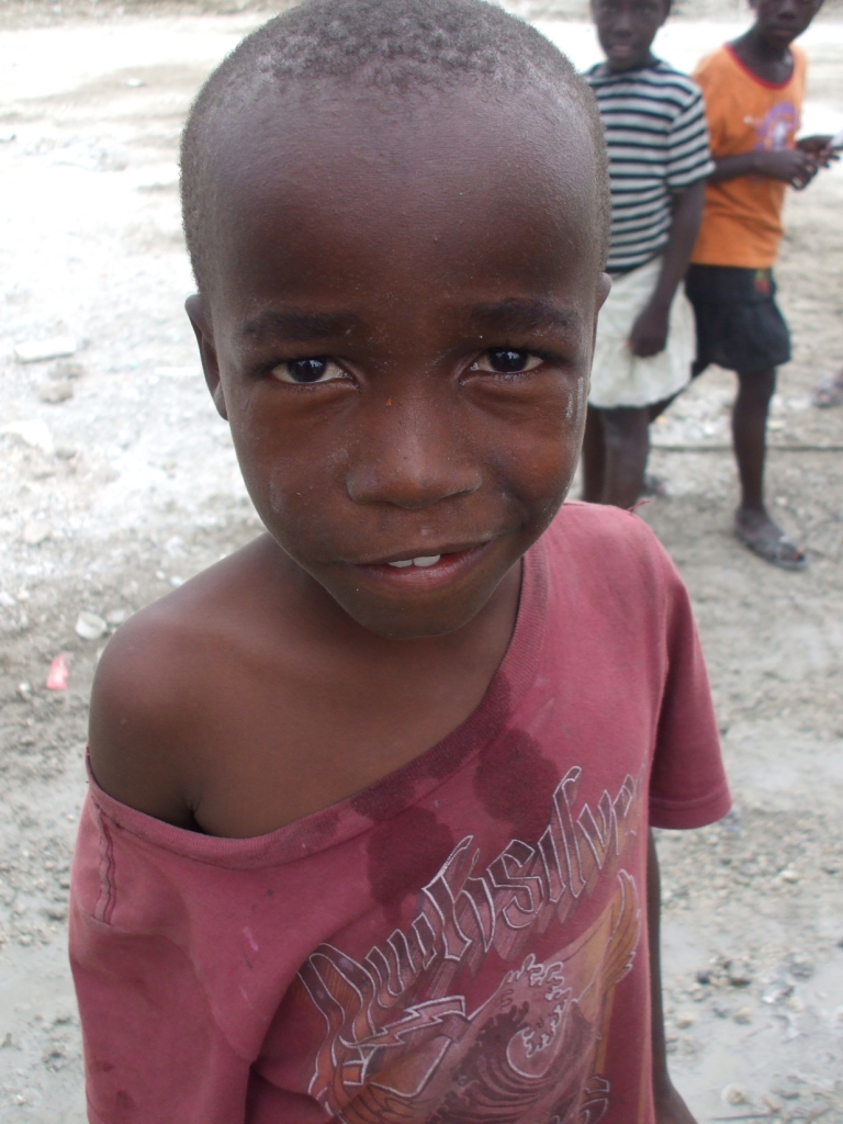 Haiti - White Crane