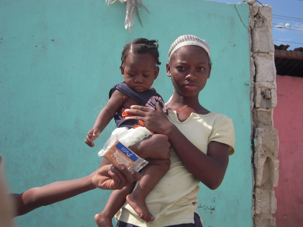 Haiti - White Crane