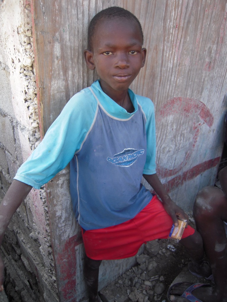 Haiti - White Crane