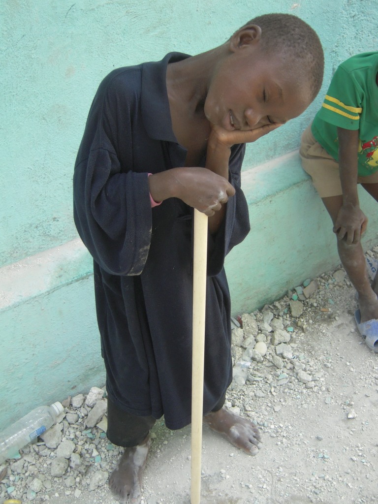 Haiti - White Crane