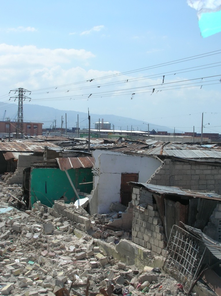 Haiti - White Crane