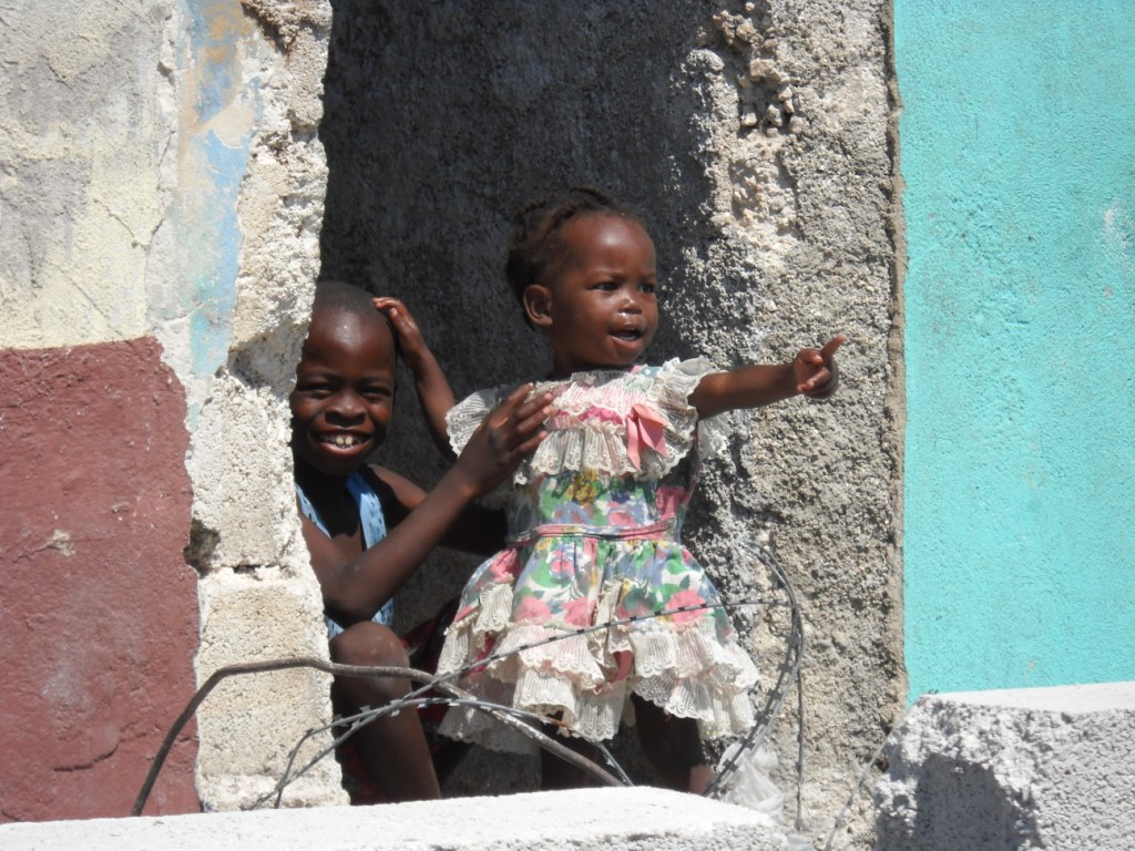 Haiti - White Crane