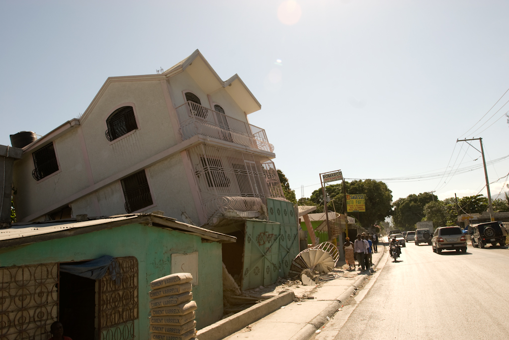 Haiti - White Crane