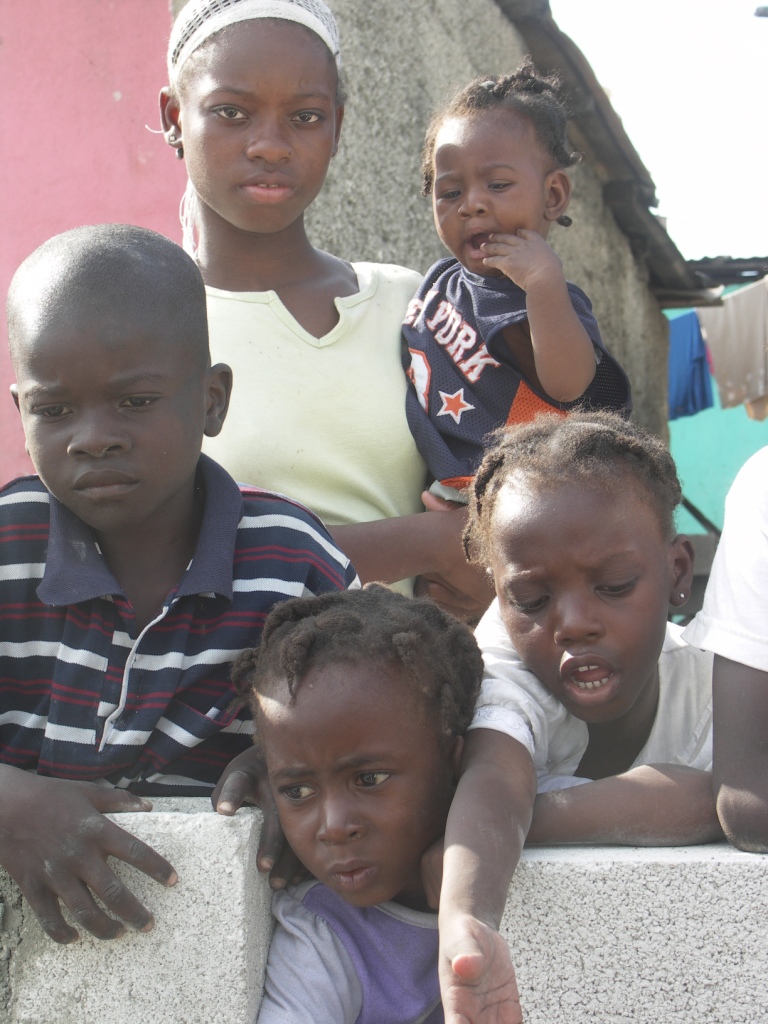 Haiti - White Crane