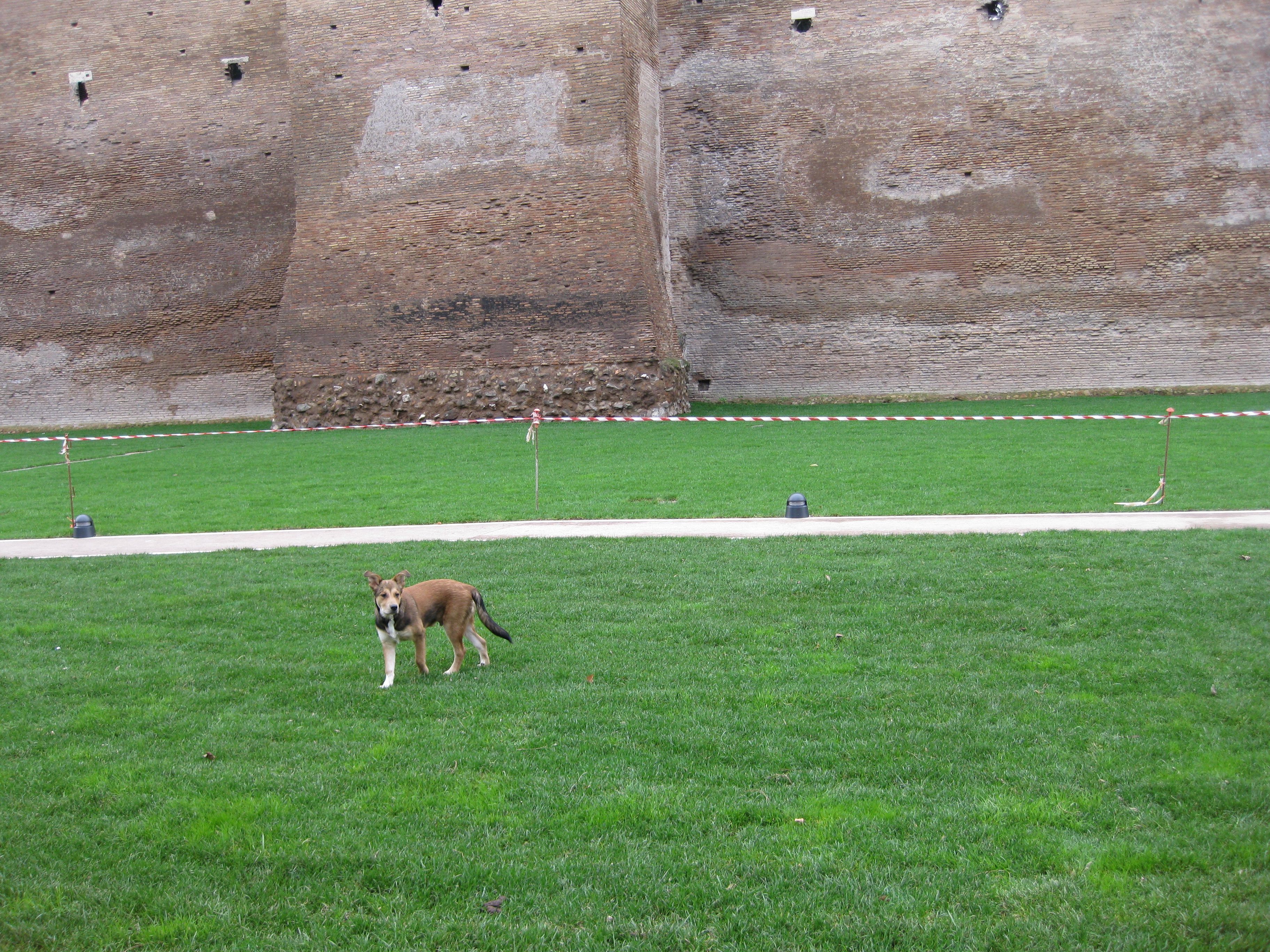 Il nuovo parco di Porta Metronia e le Mura Aureliane