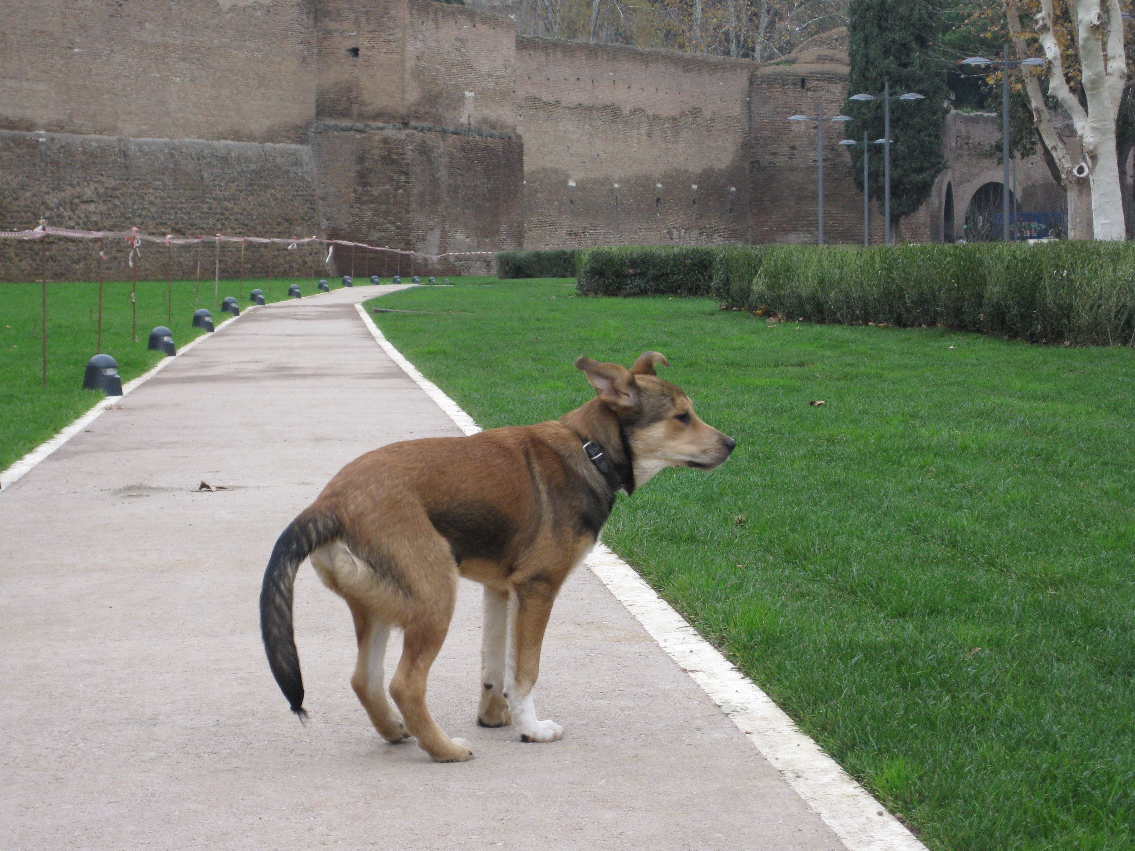 Il nuovo parco di Porta Metronia e le Mura Aureliane