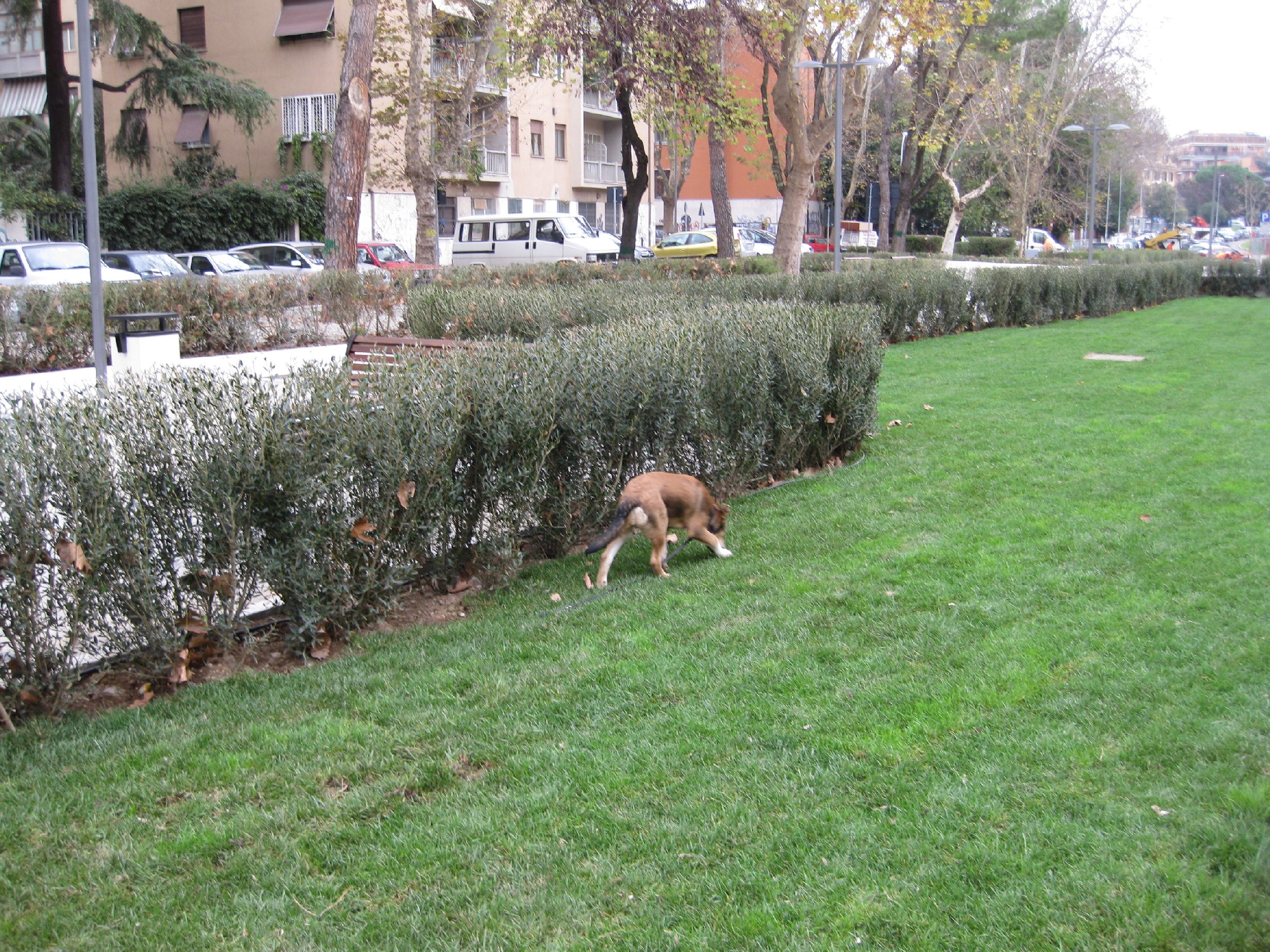 Il nuovo parco di Porta Metronia e le Mura Aureliane