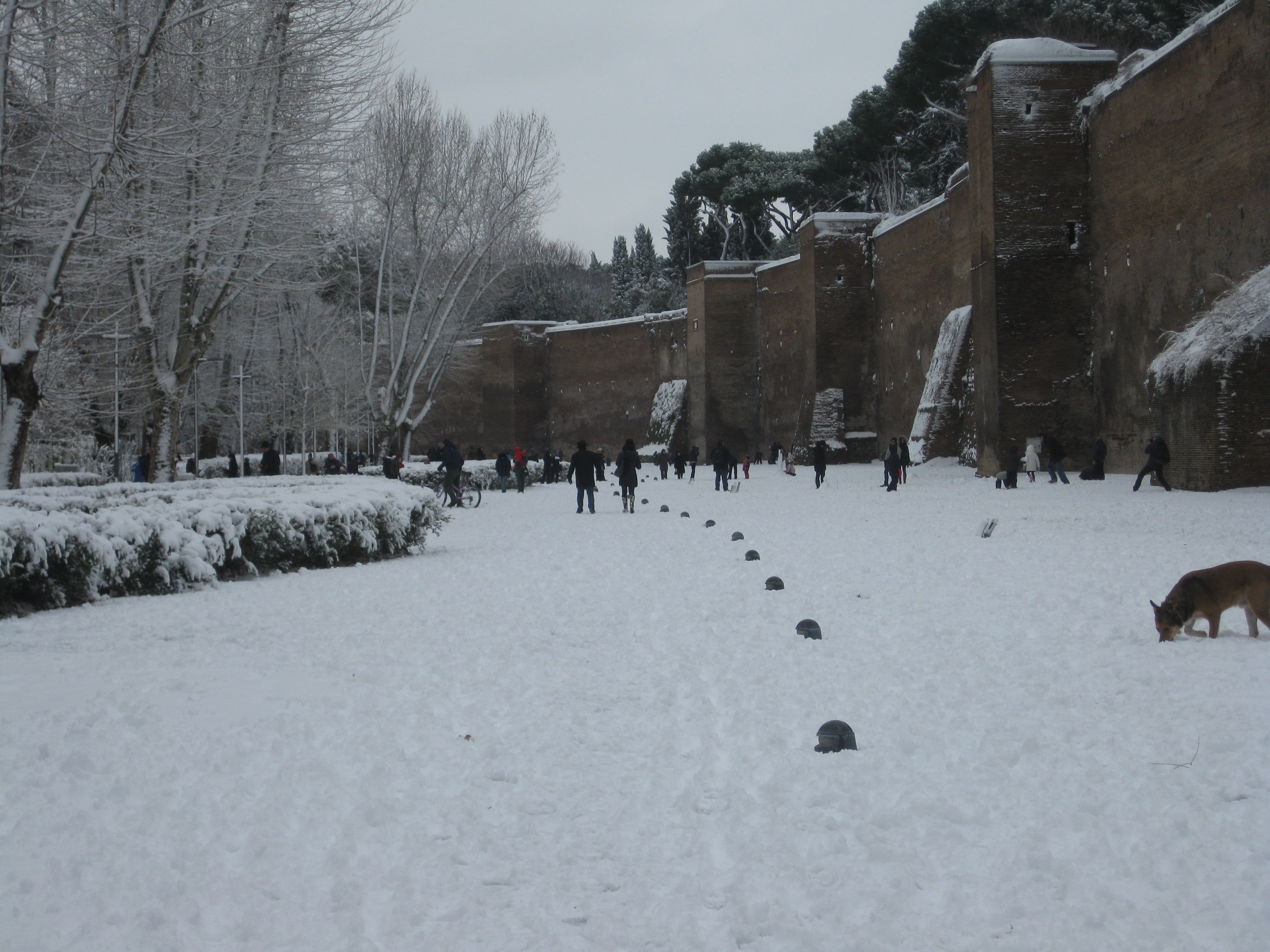 La neve a Porta Metronia