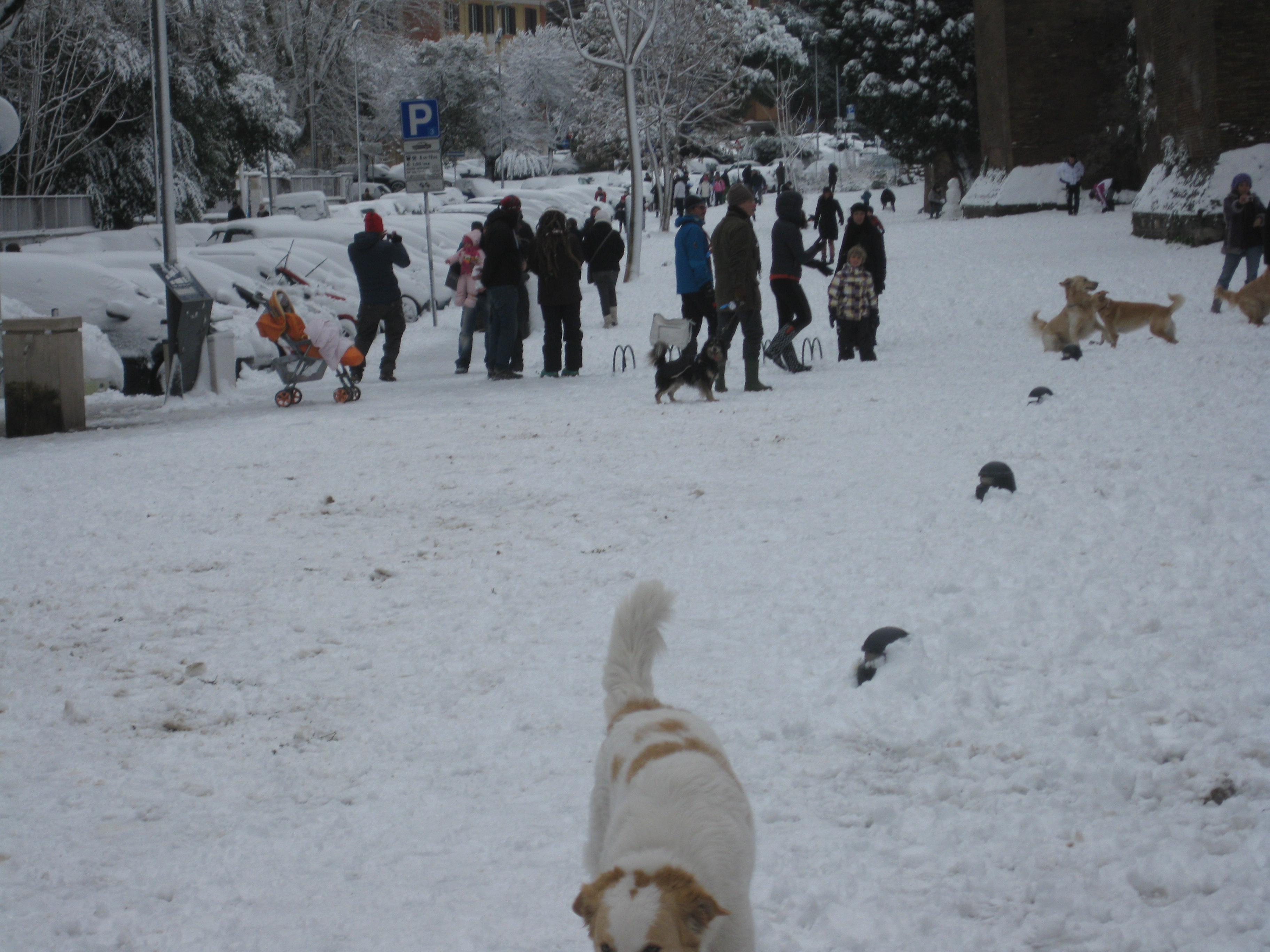 La neve a Porta Metronia