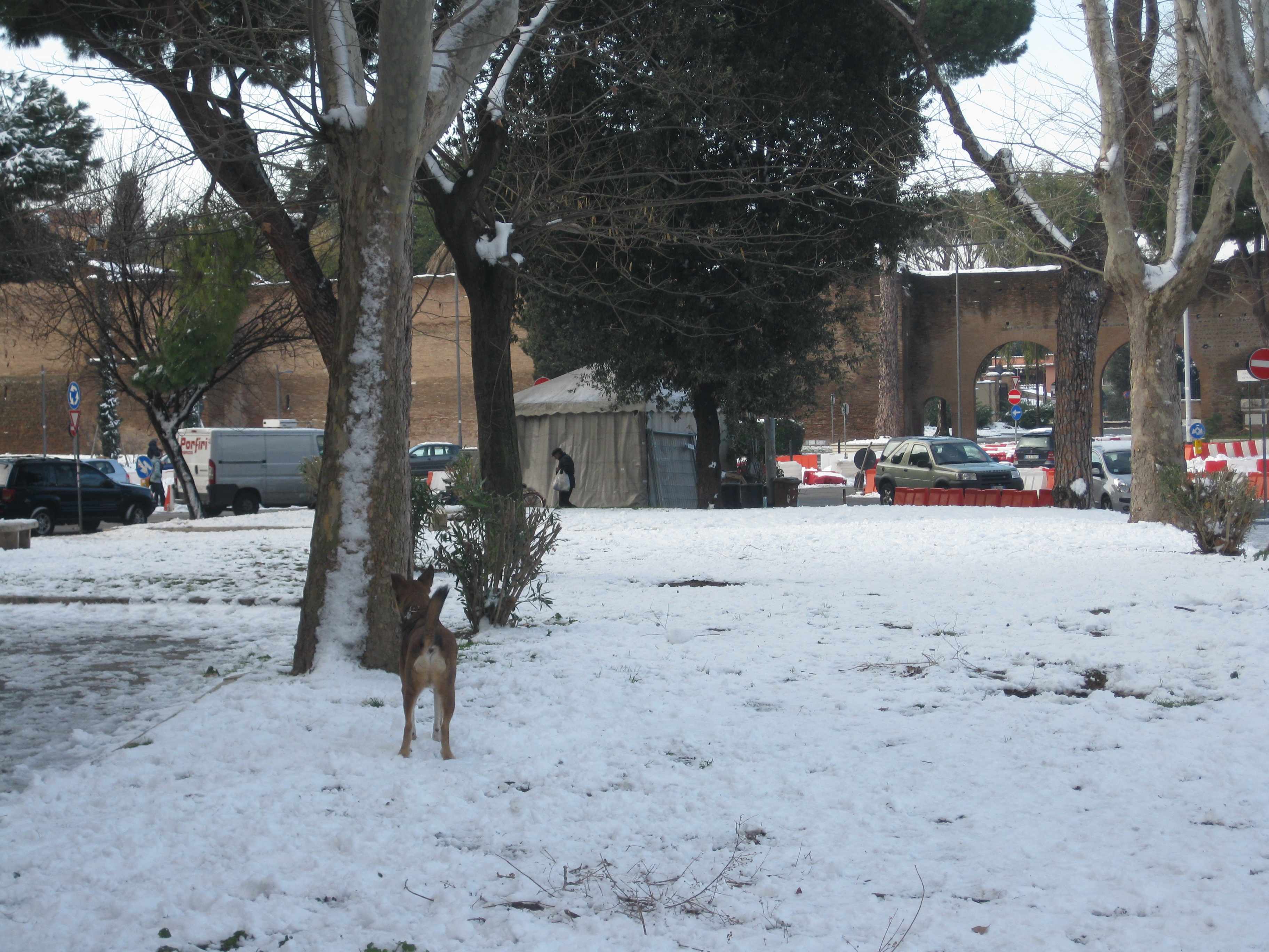 La neve a Porta Metronia