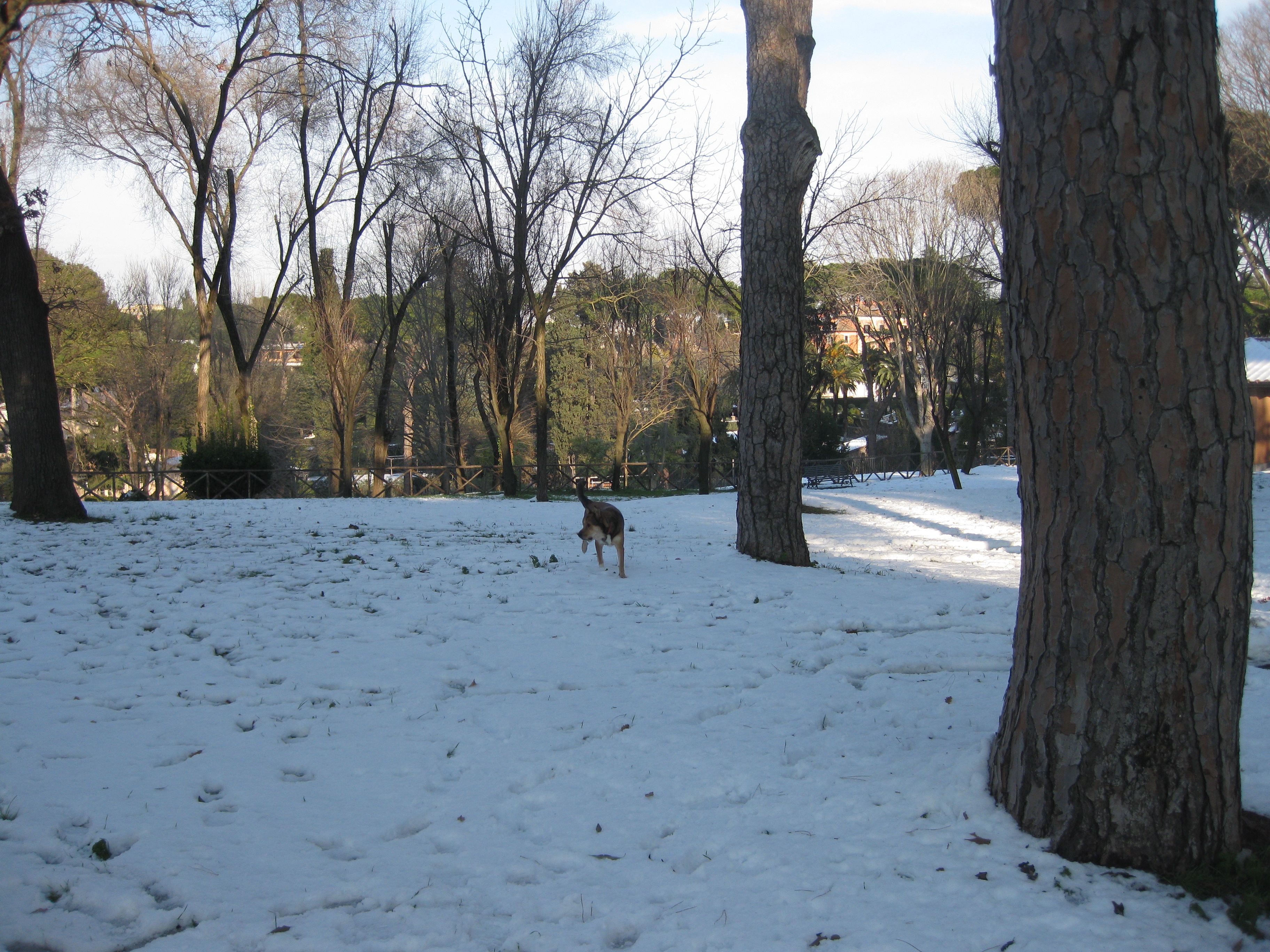 La neve a Porta Metronia