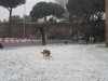 La neve a Porta Metronia