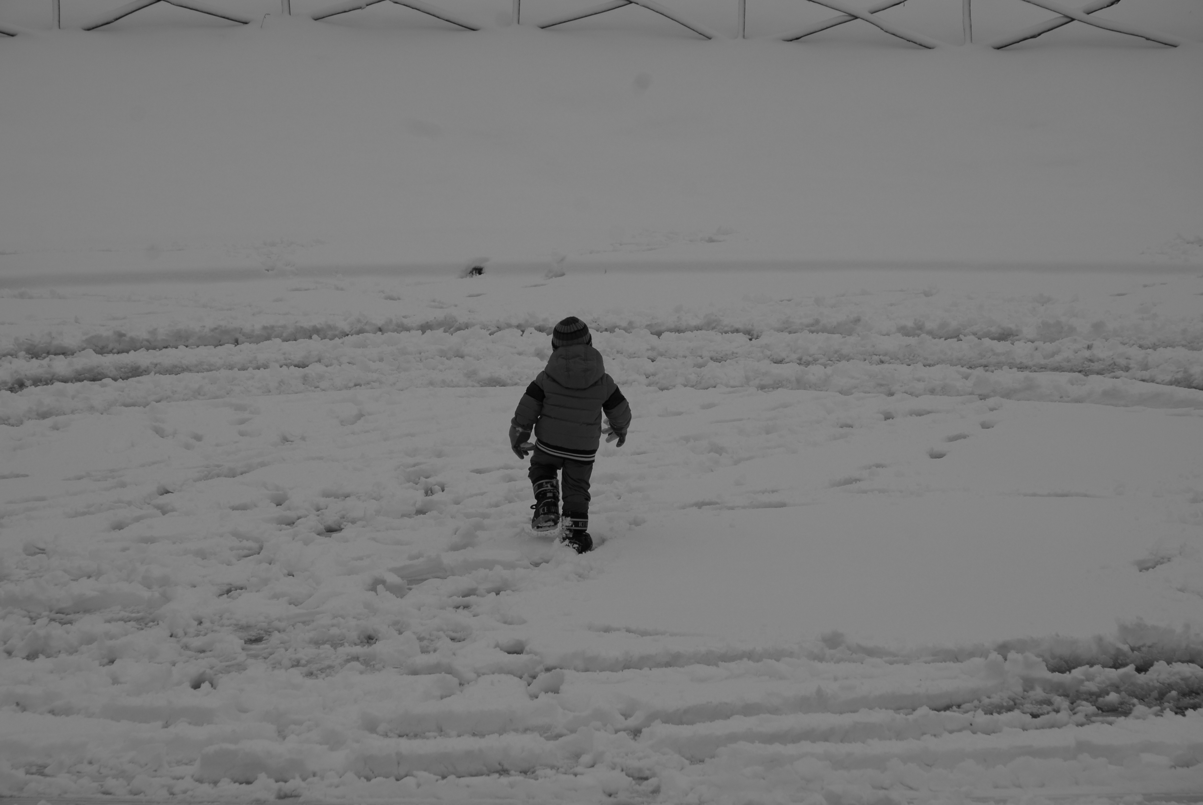 Bianco e.. neve e luce a Roma. 