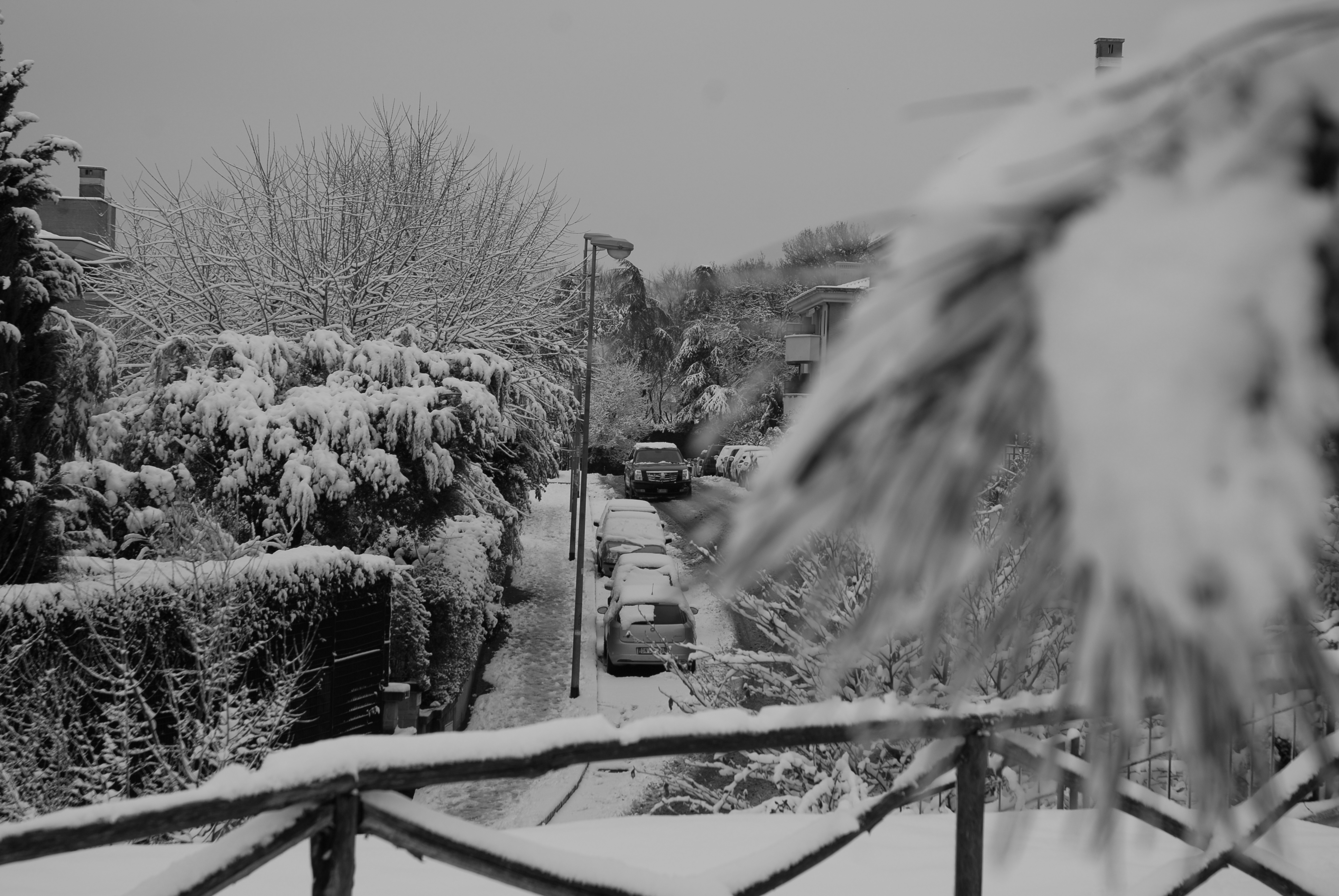 Bianco e.. neve e luce a Roma. 