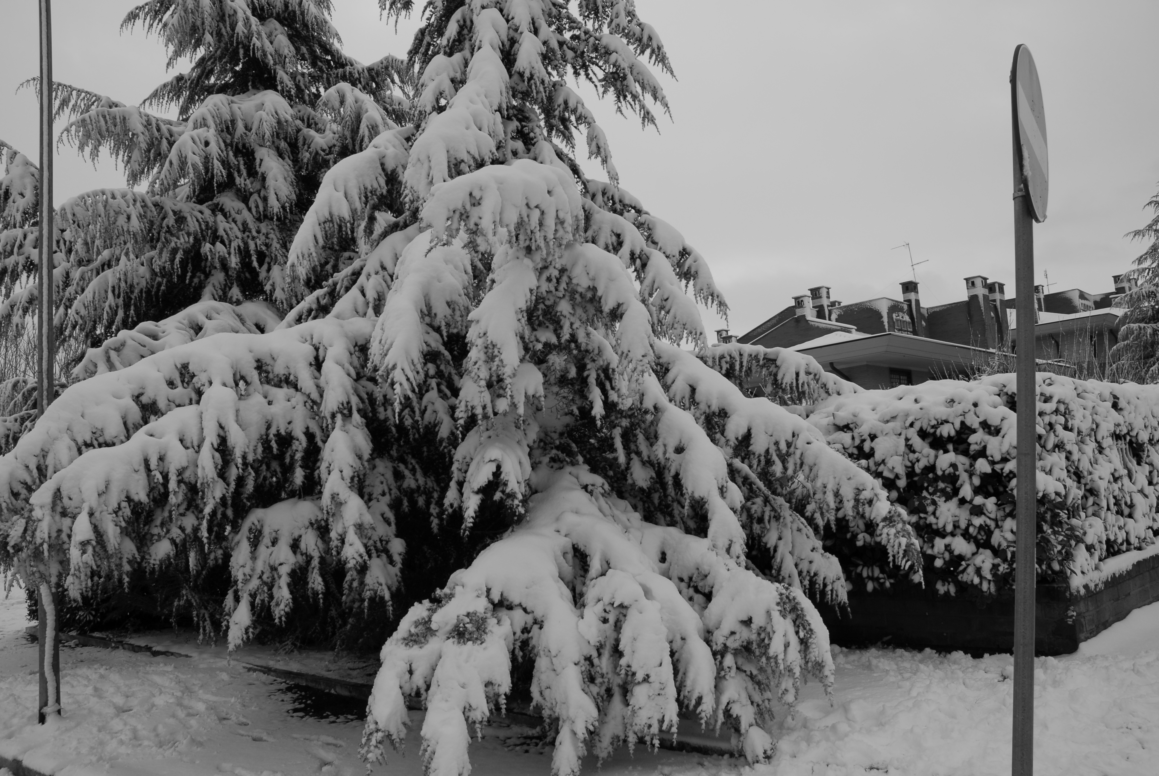 Bianco e.. neve e luce a Roma. 