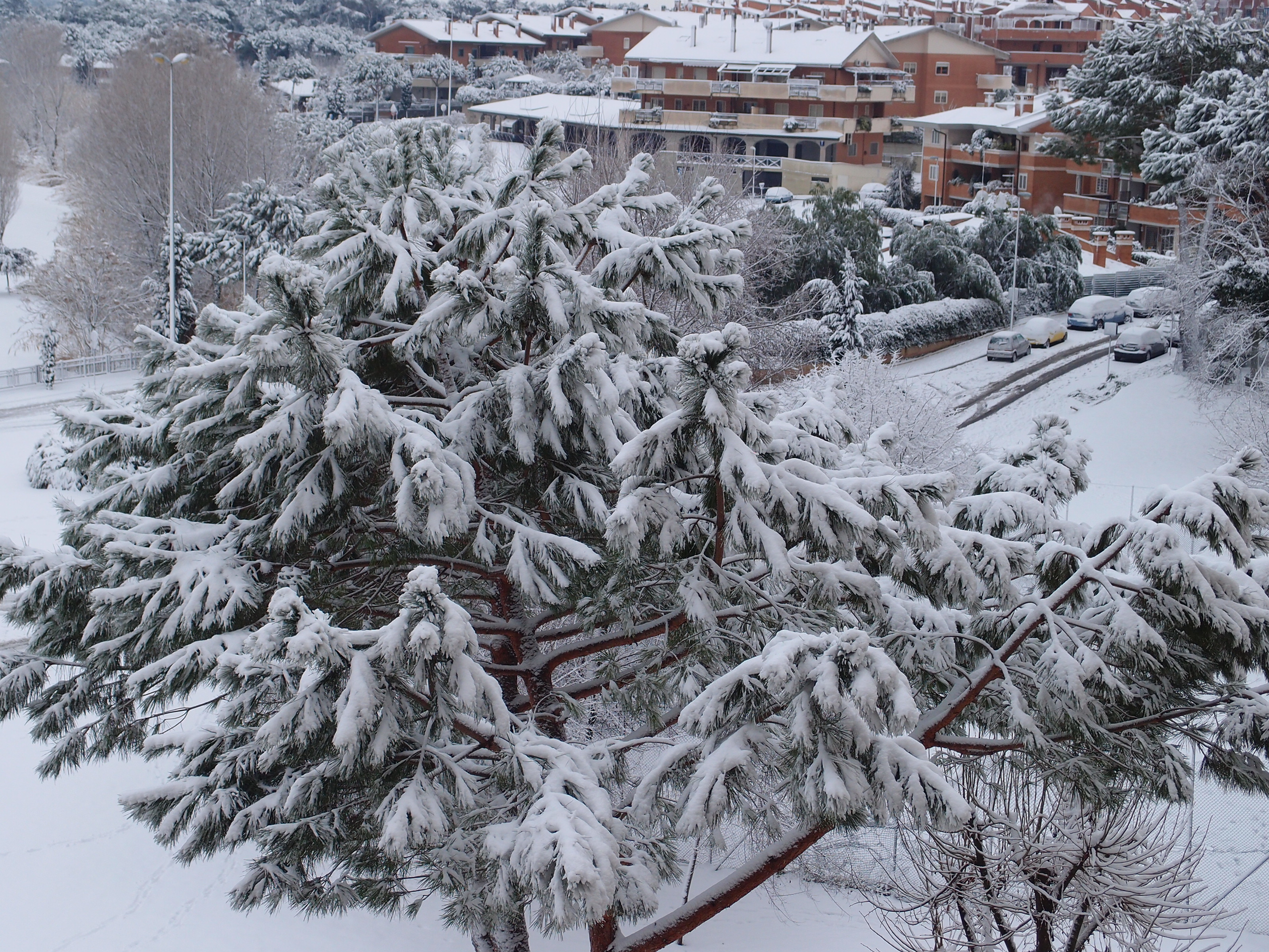 Bianco e.. neve e luce a Roma. 