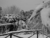 Bianco e.. neve e luce a Roma. 