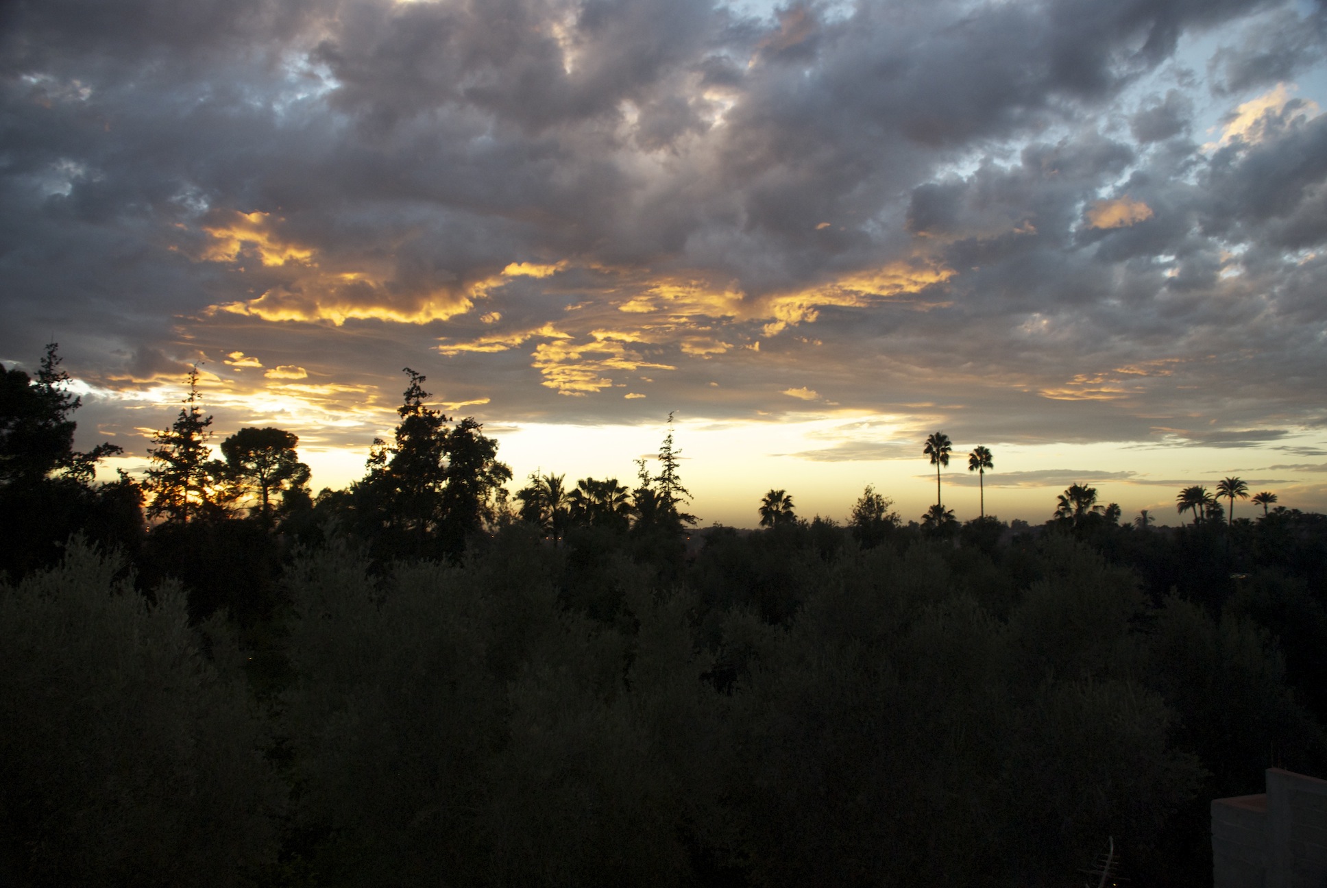 Marrakech mon amour