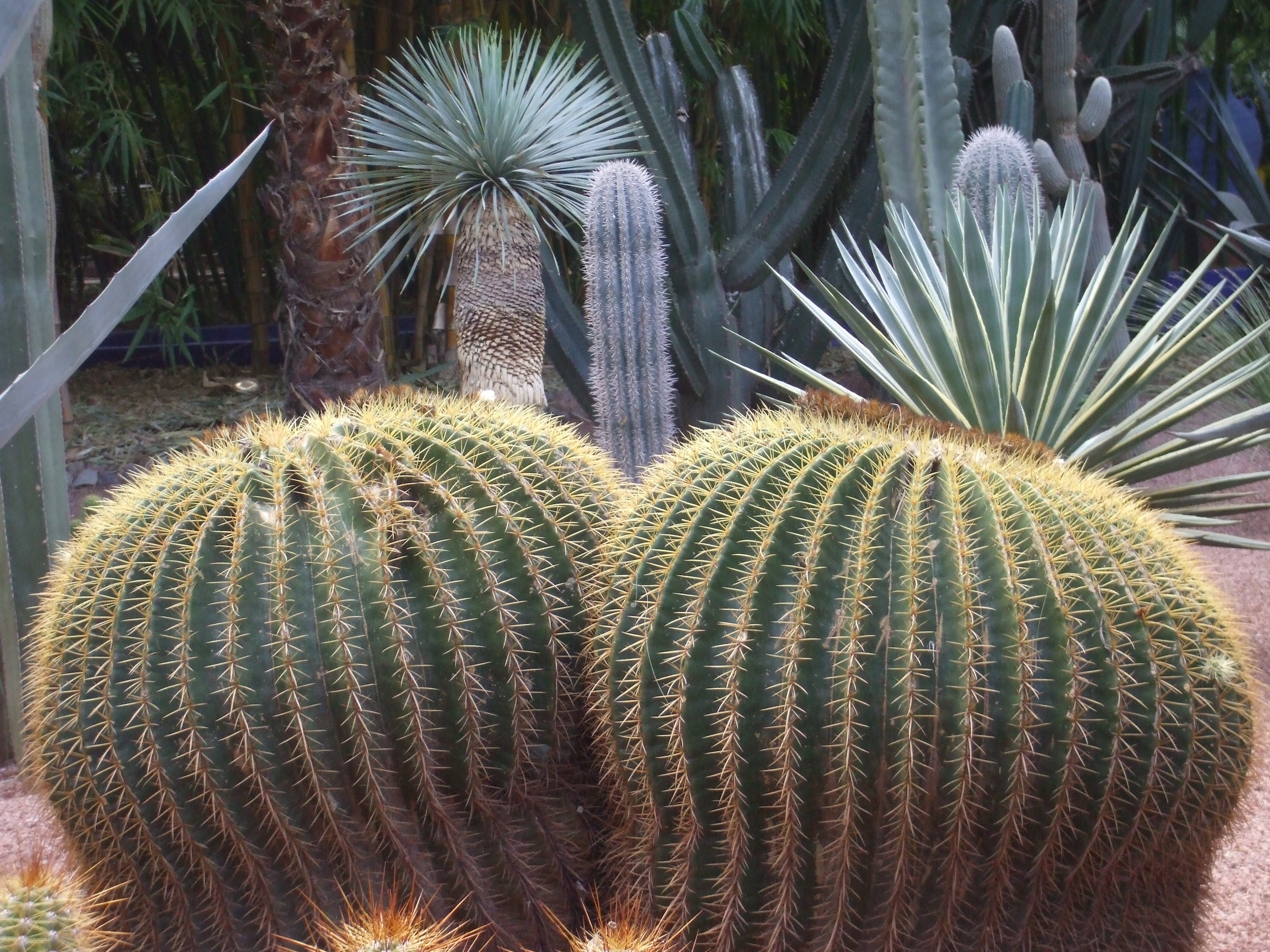 Marrakech