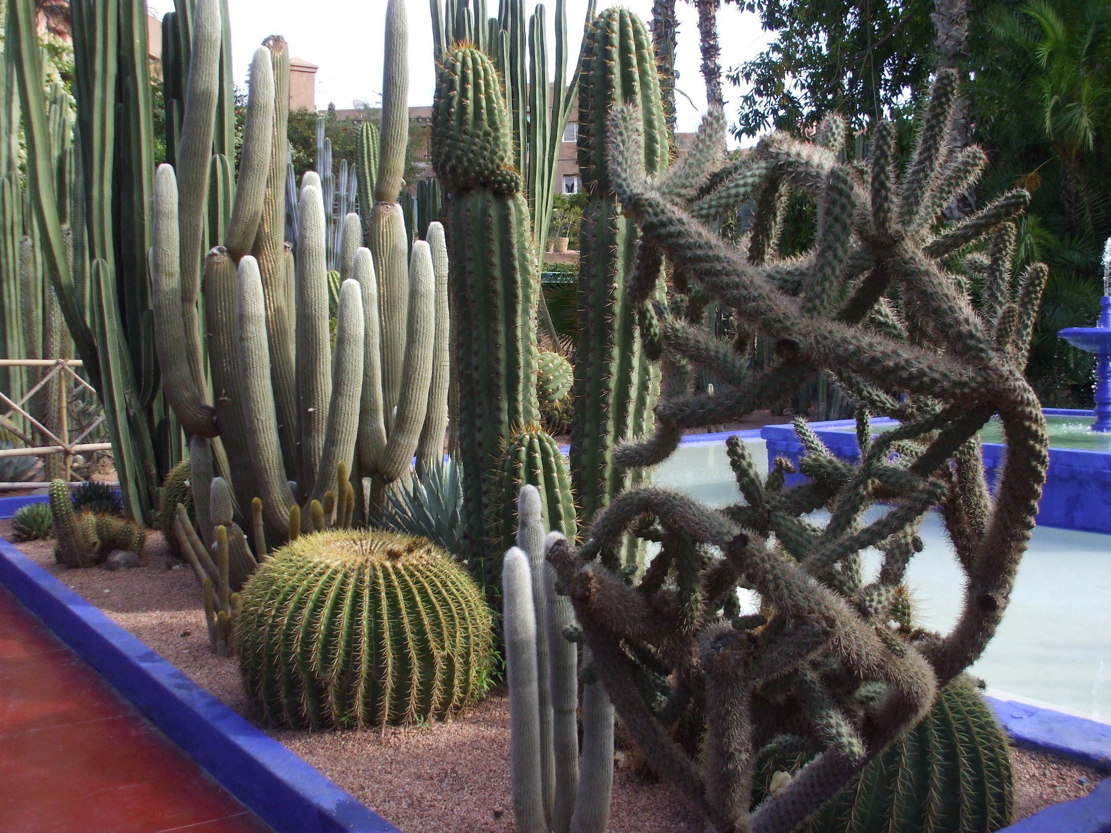 Marrakech