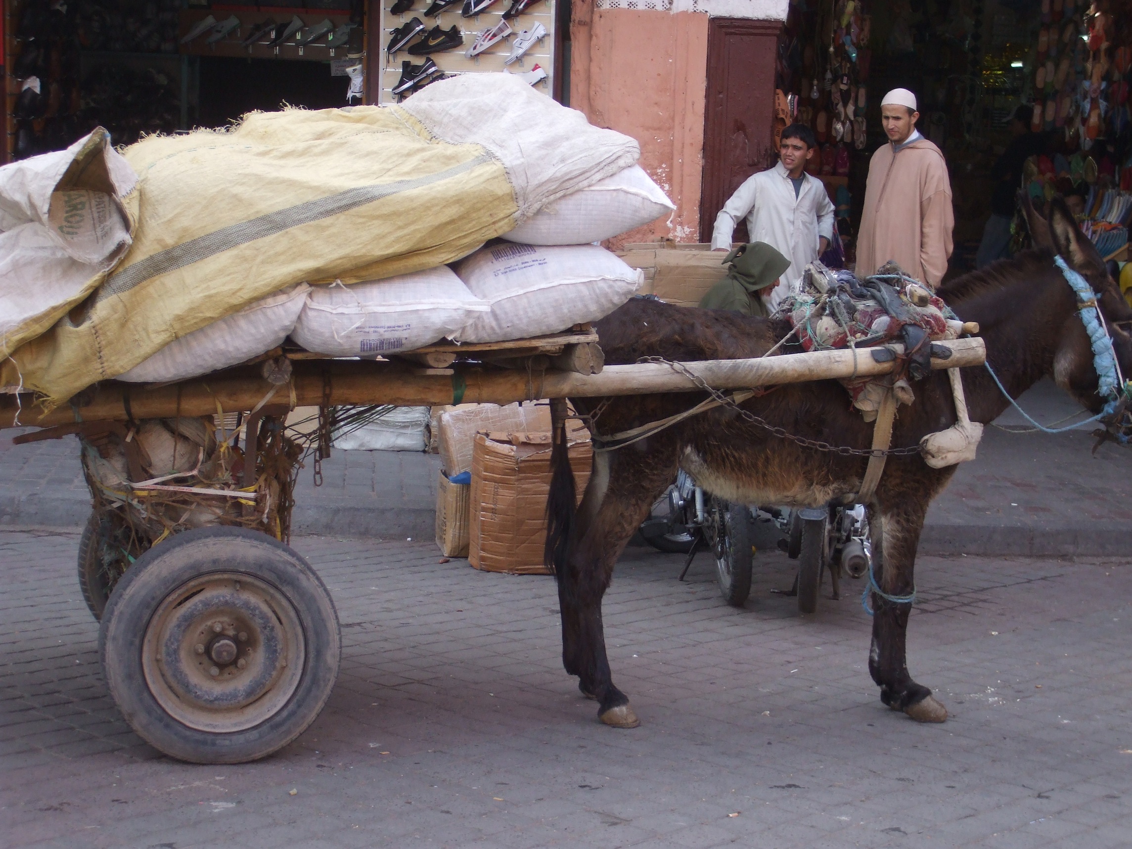 Marrakech