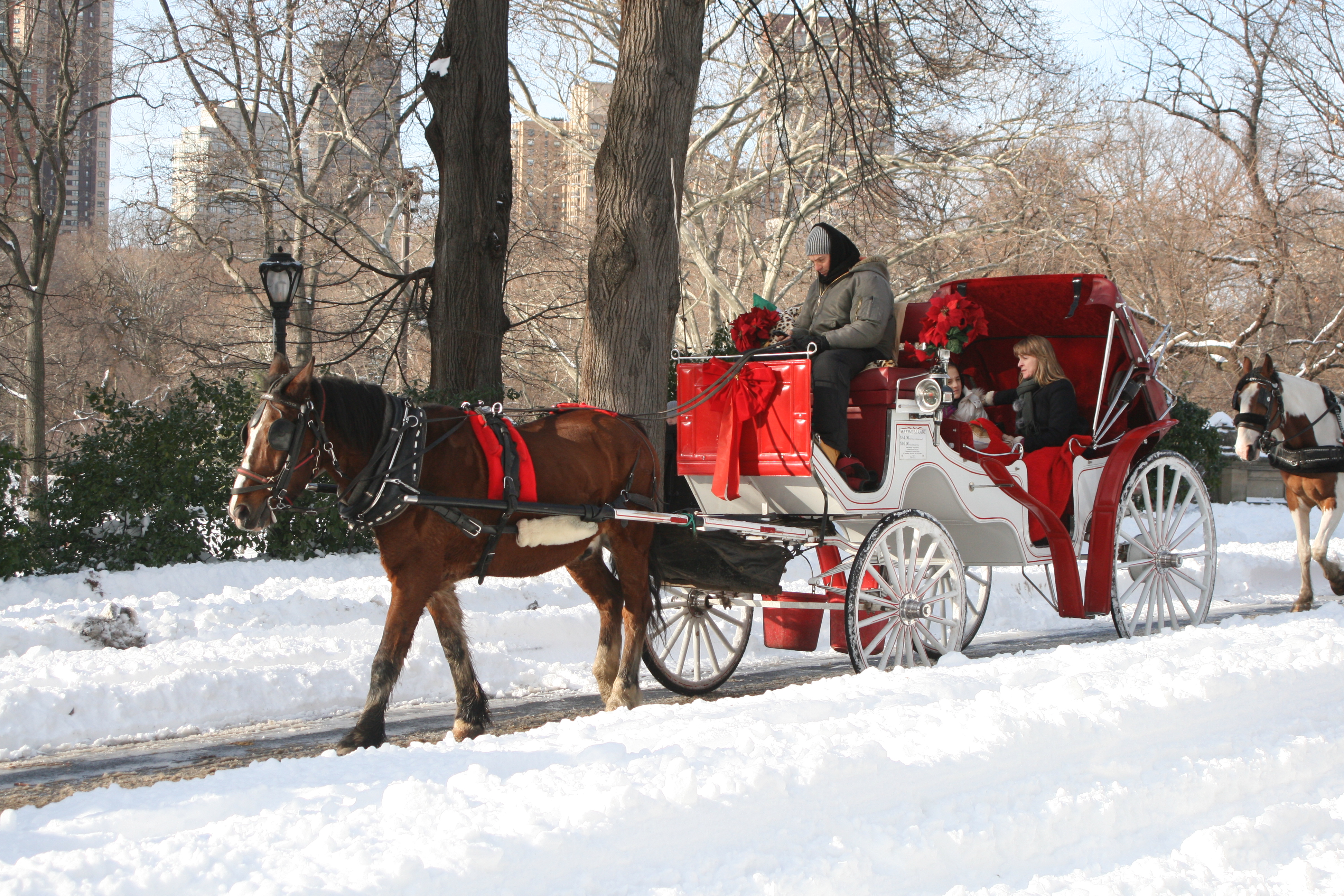 Natale a New York