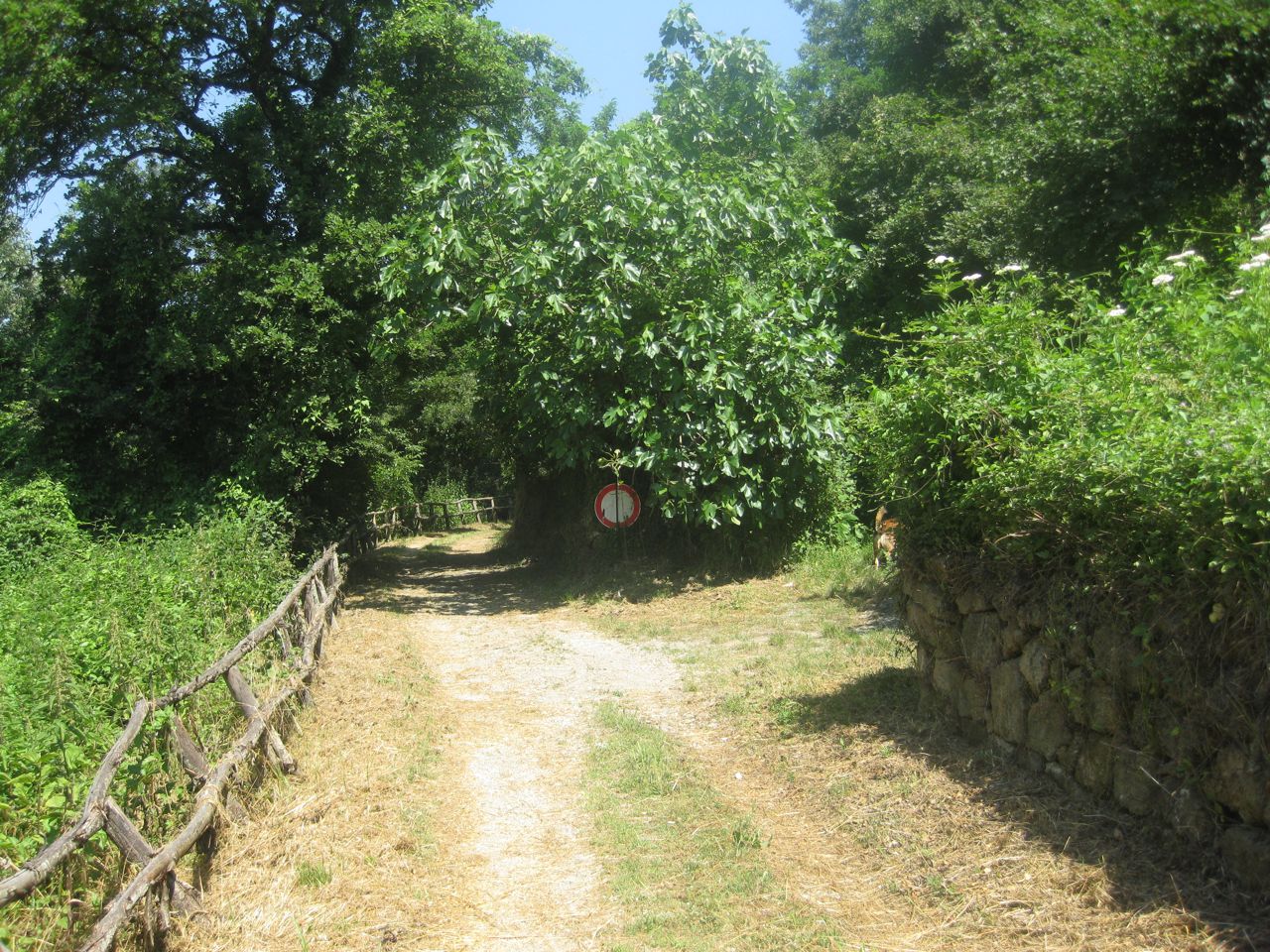 San Quirico, Vitozza e dintorni