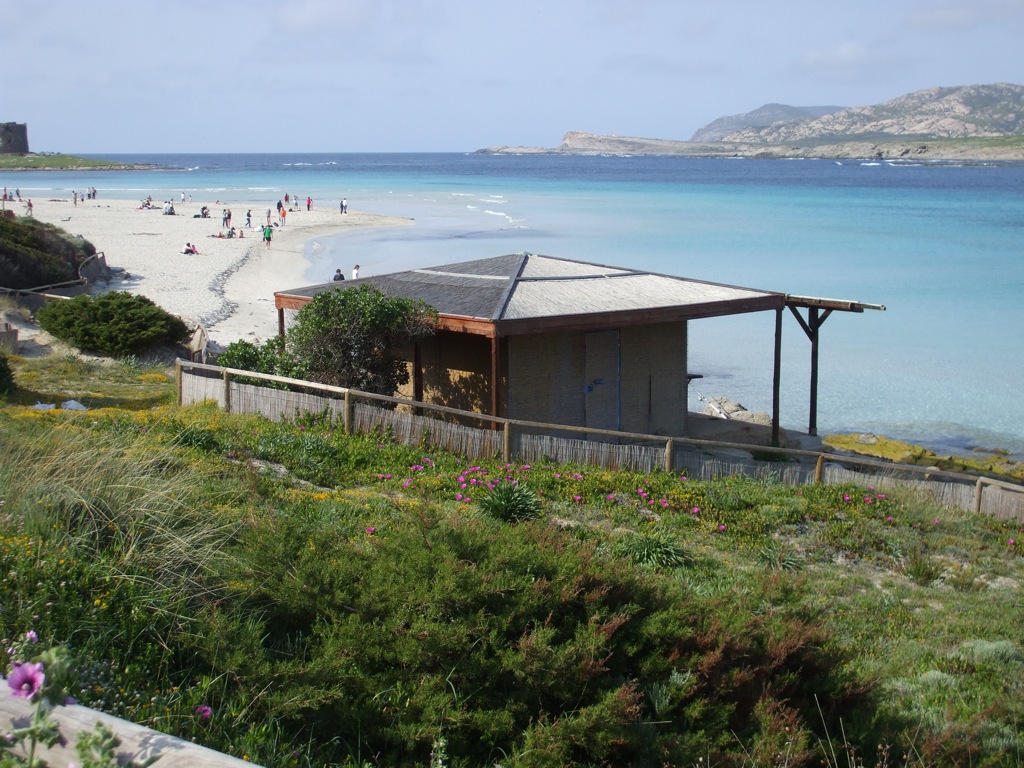 Sardegna in primavera