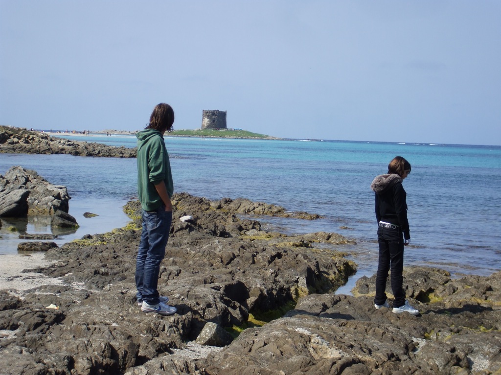 Sardegna in primavera