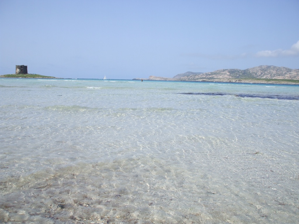 Sardegna in primavera