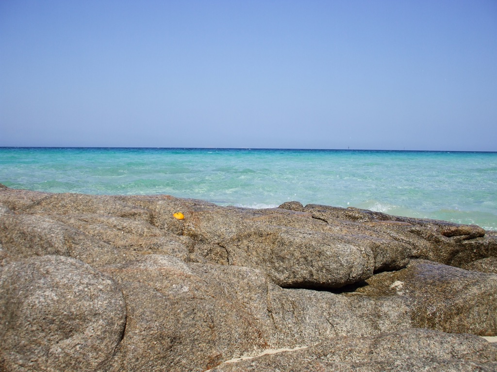 Sardegna in primavera