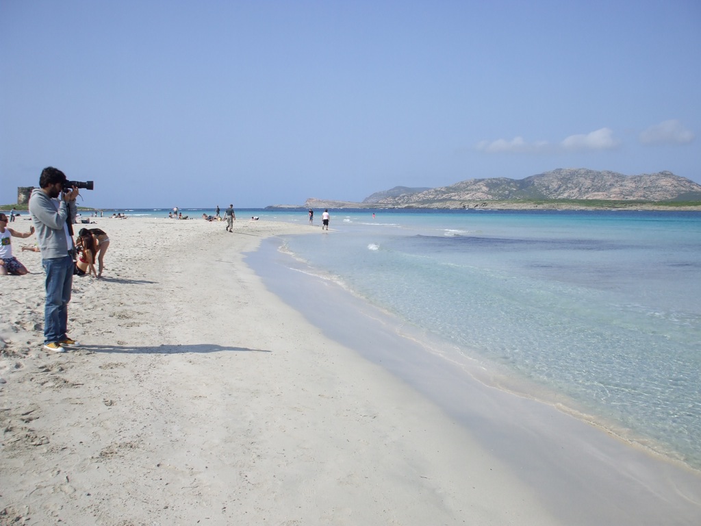 Sardegna in primavera