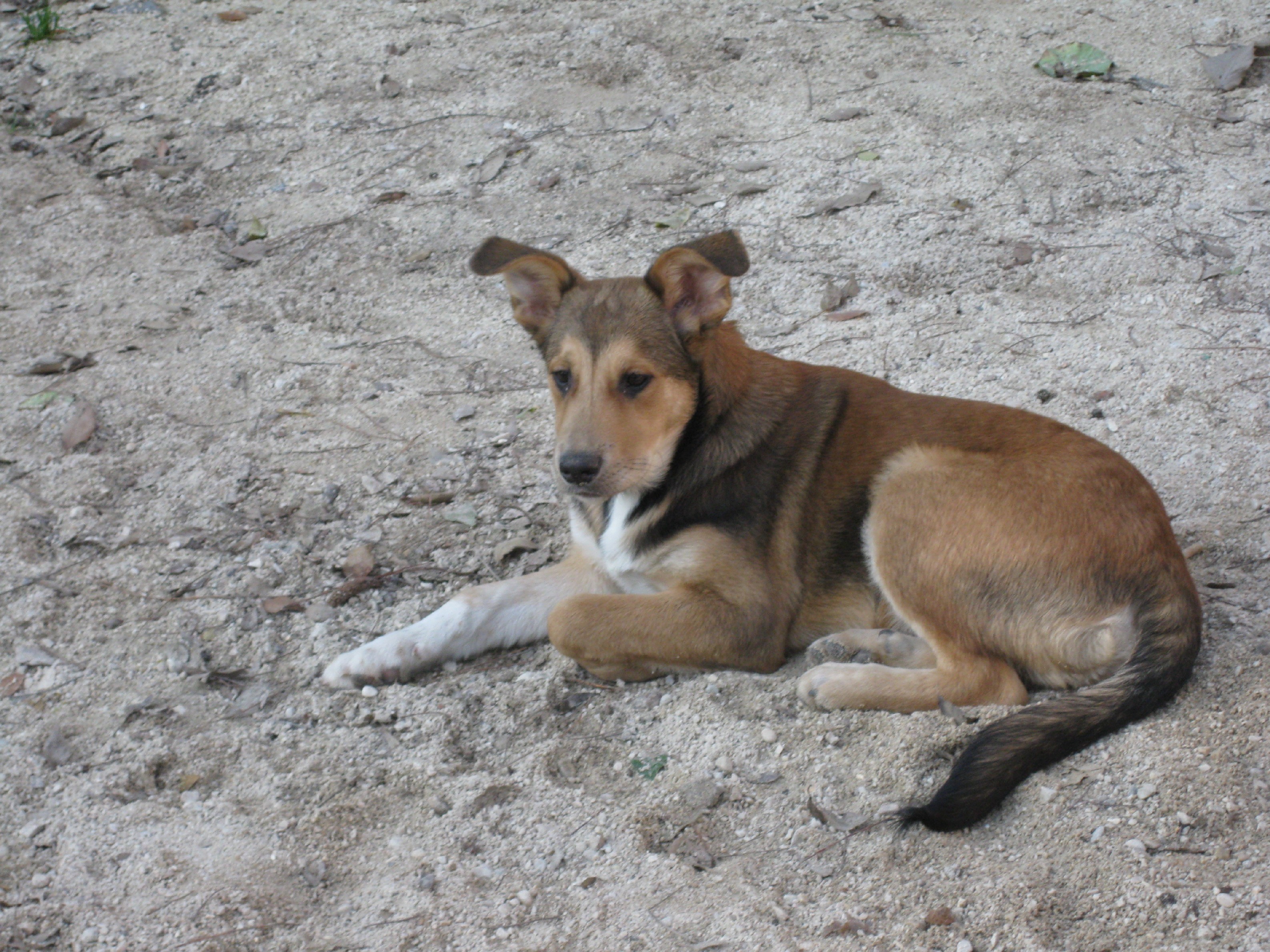 Tex, le foto