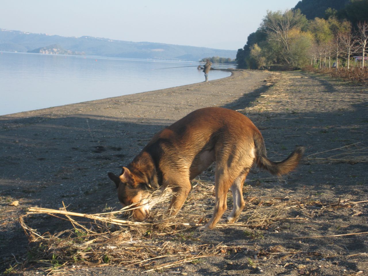 Tex, le foto