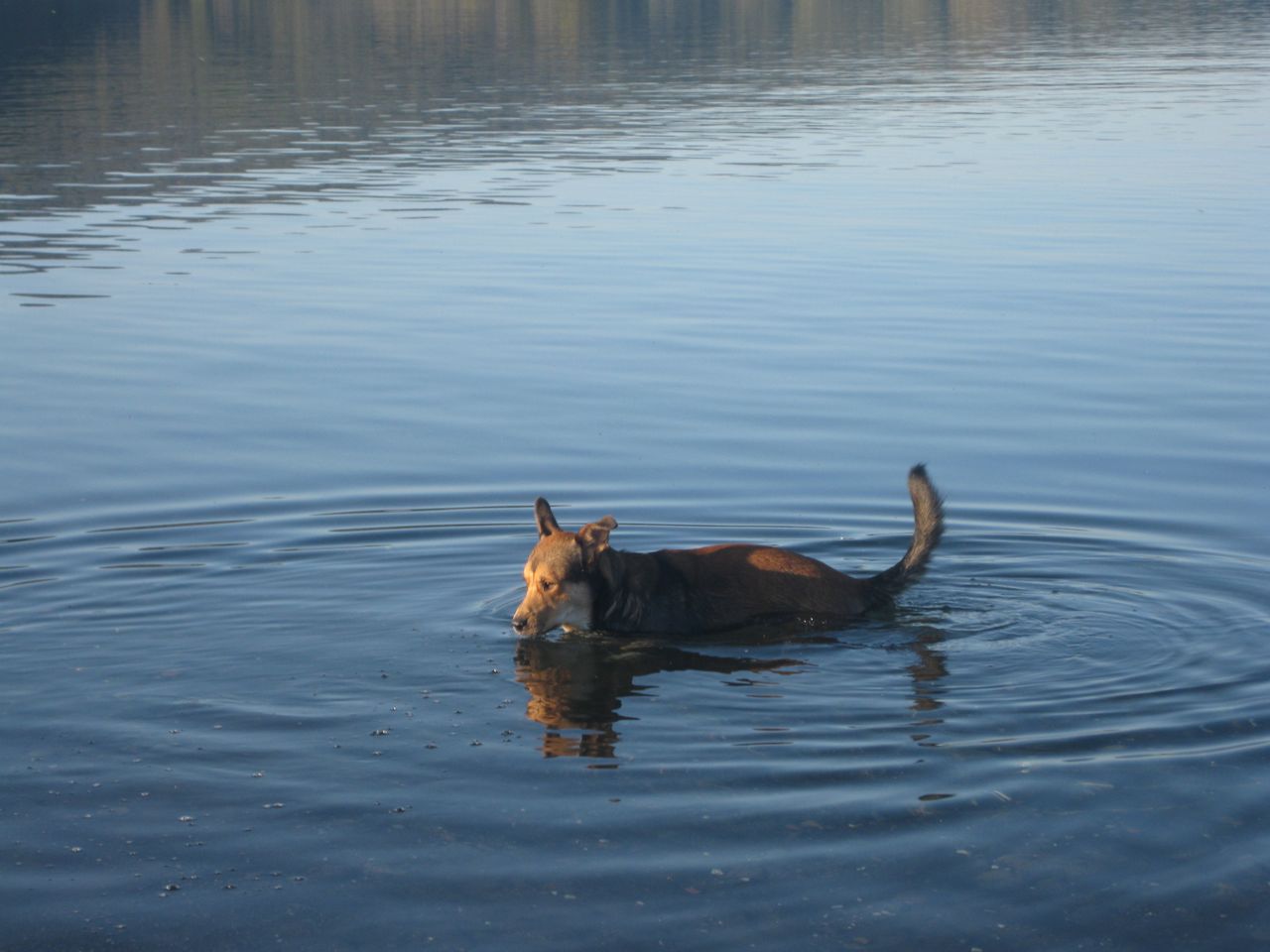 Tex, le foto