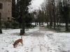 Tex e la neve