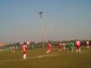 atlcolli-albani-08.jpg
