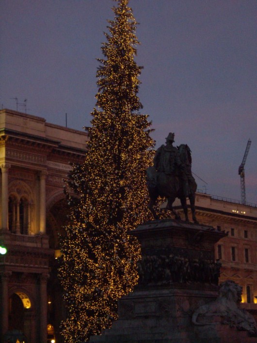 L'albero di Milano