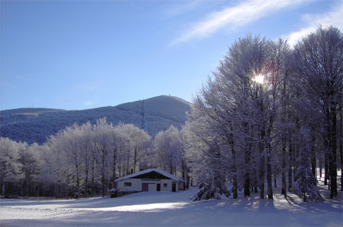 Amiata neve