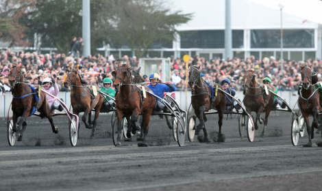 prix d'amerique 2011