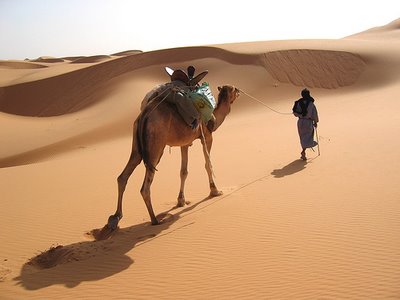 mauritania