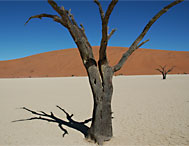 namibia